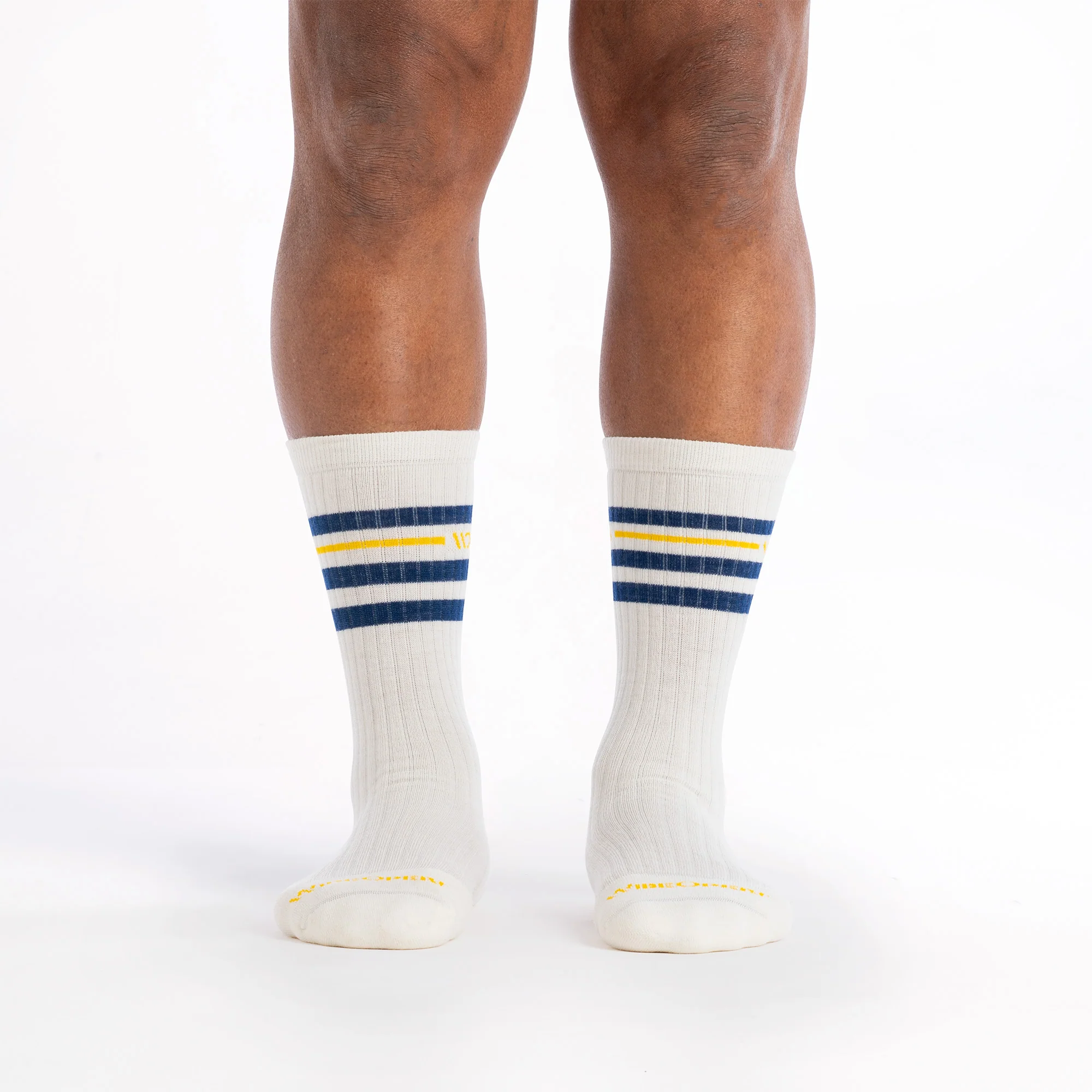 Men's Vintage Stripe Cushioned Crew Socks - Image 4