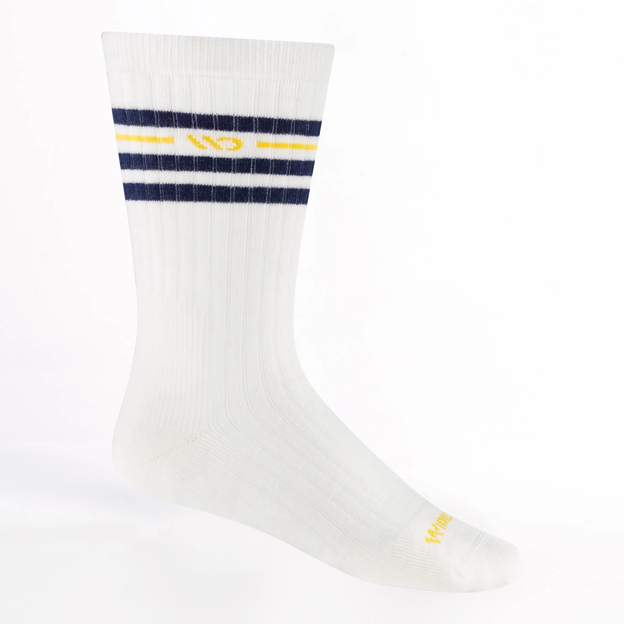 Men's Vintage Stripe Cushioned Crew Socks - Image 5