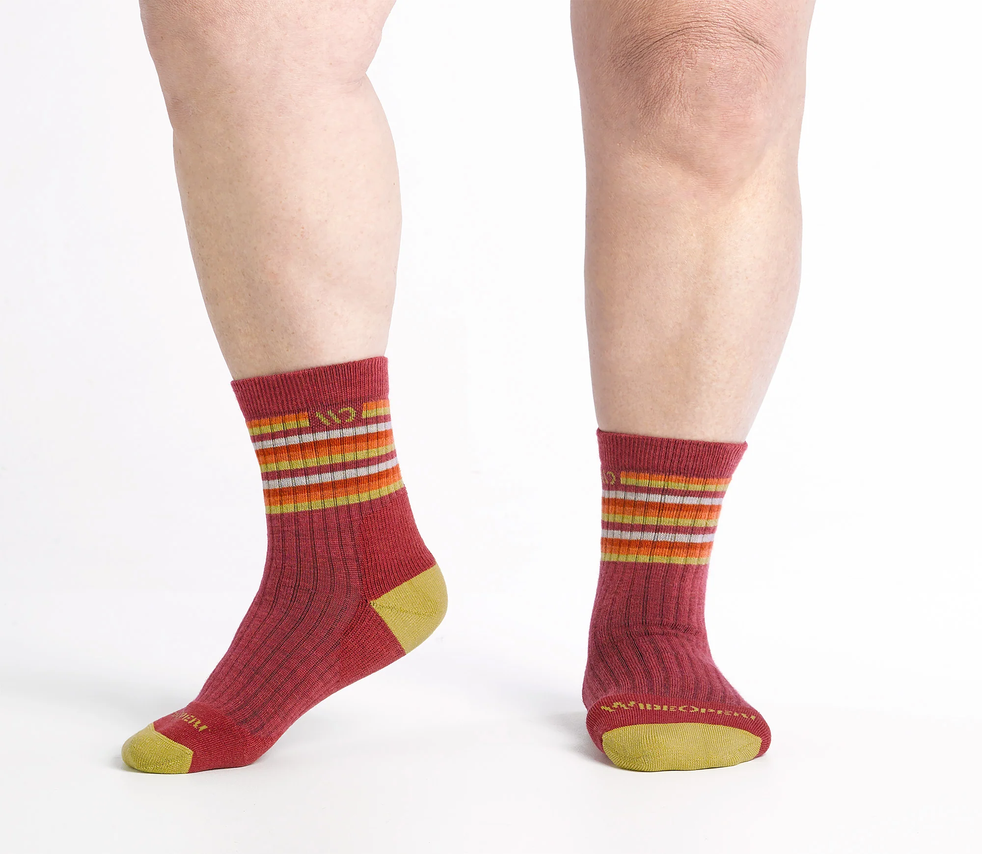 Women's Multi Stripe Cushioned Micro Crew Socks - Image 6