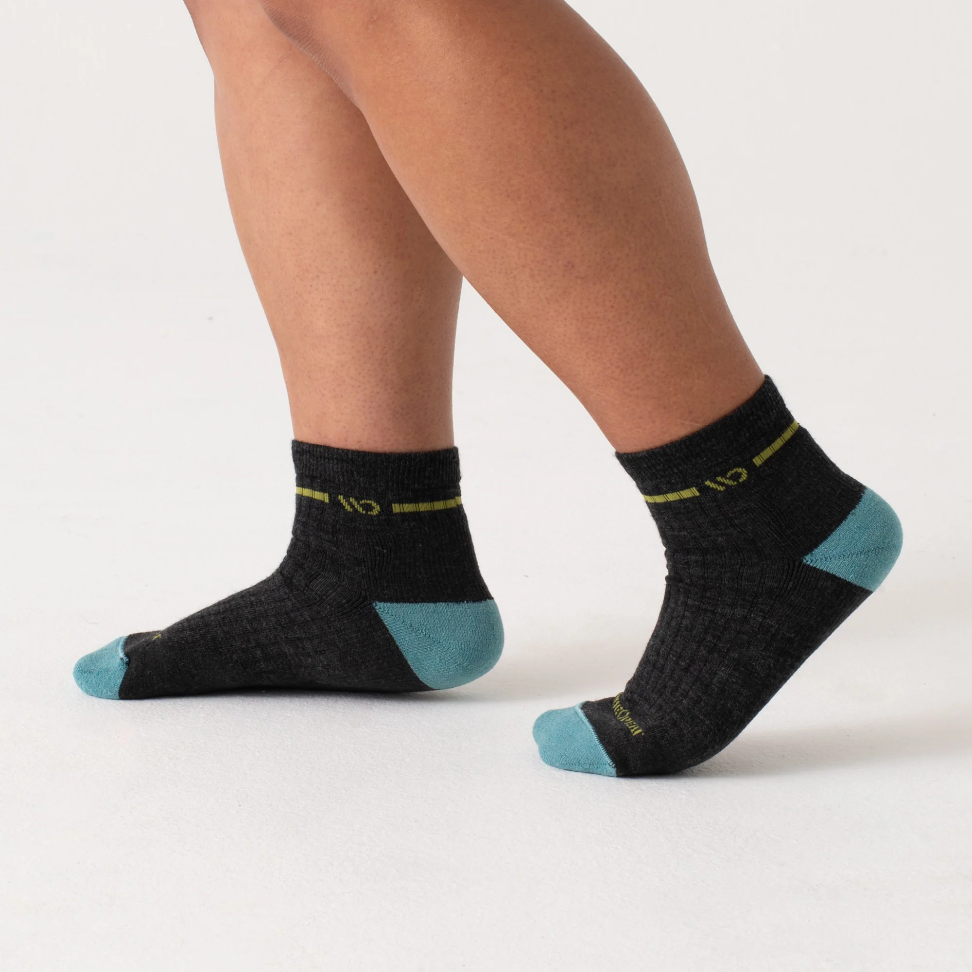Women's Single Stripe Cushioned Quarter Socks - Image 13