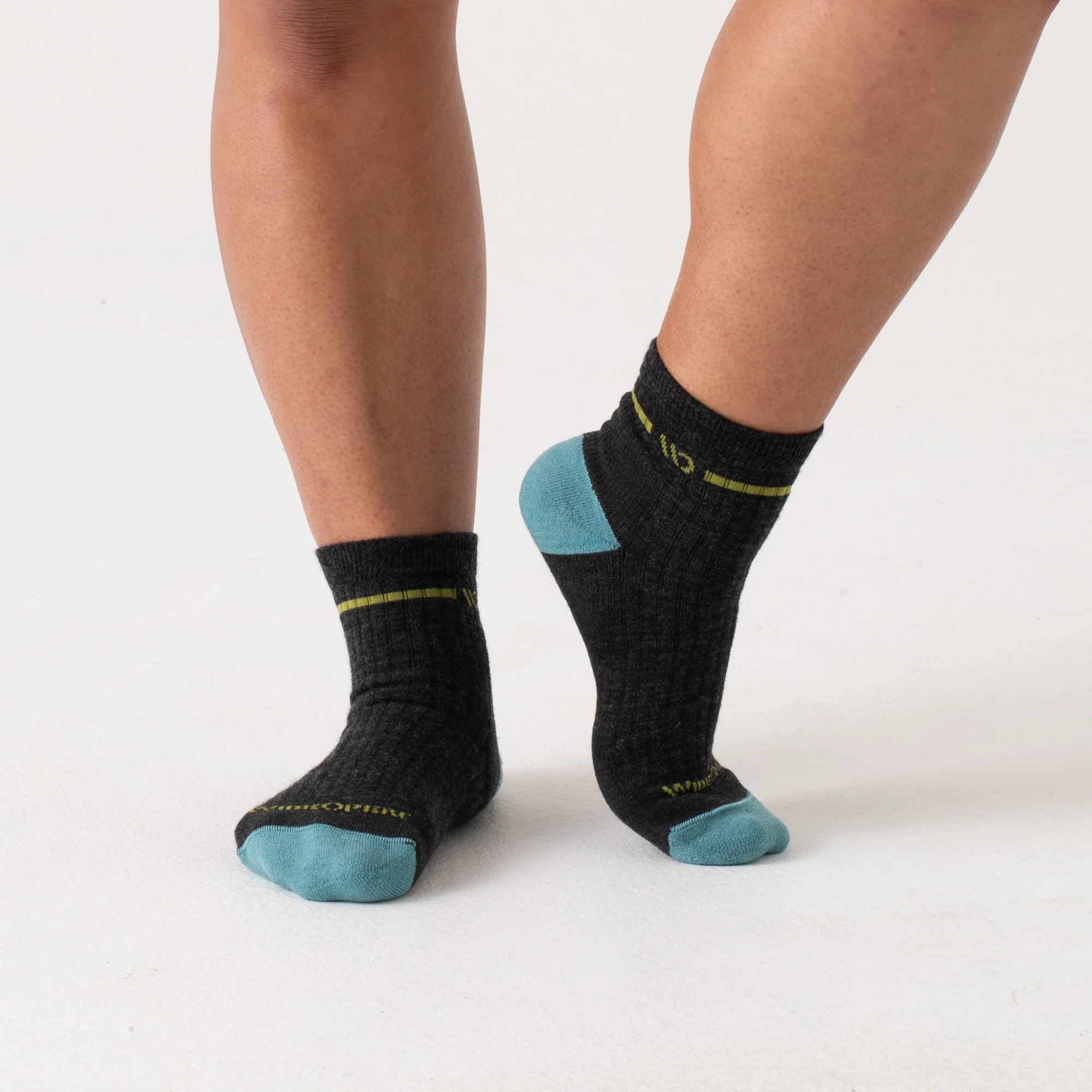 Women's Single Stripe Cushioned Quarter Socks - Image 12
