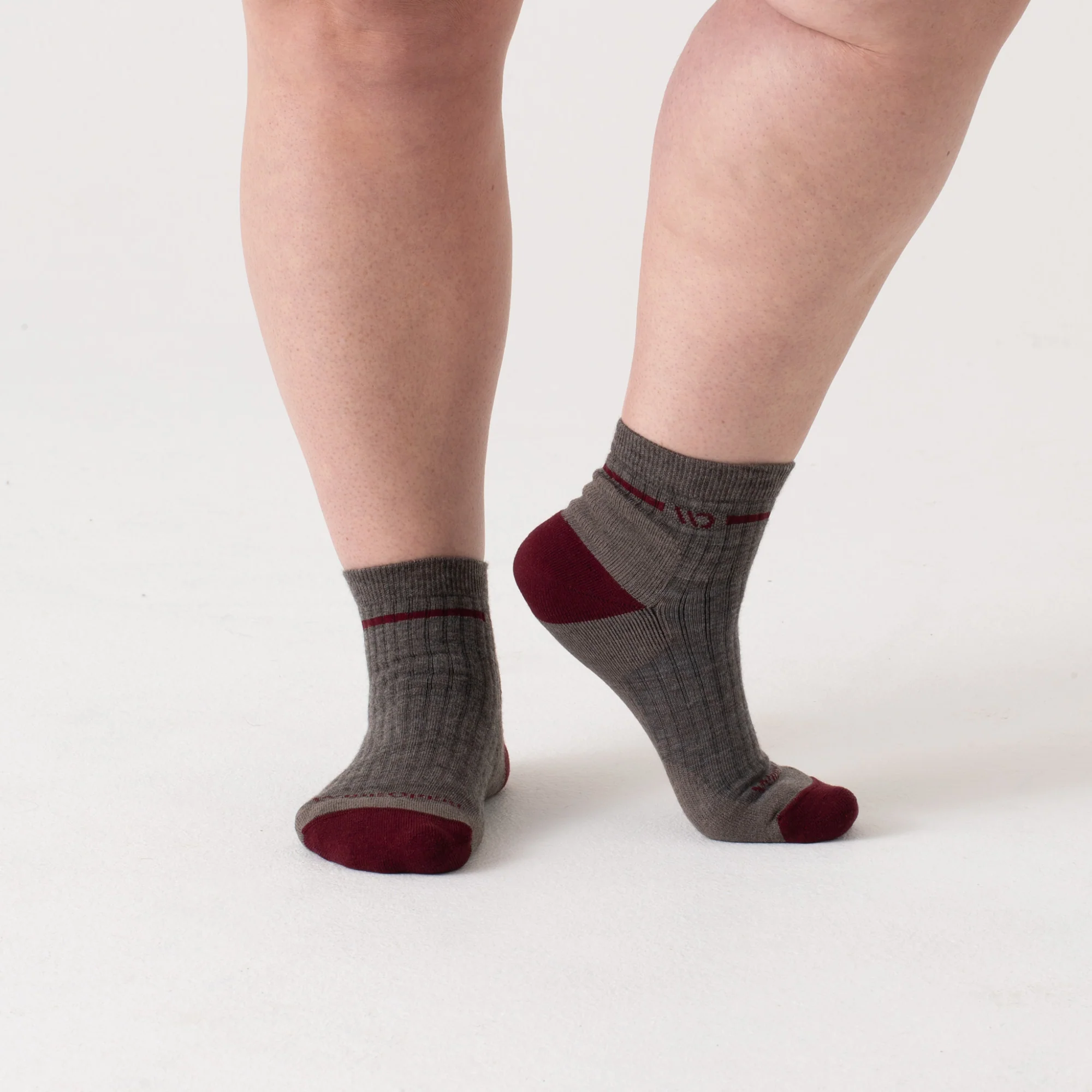 Women's Single Stripe Cushioned Quarter Socks - Image 28
